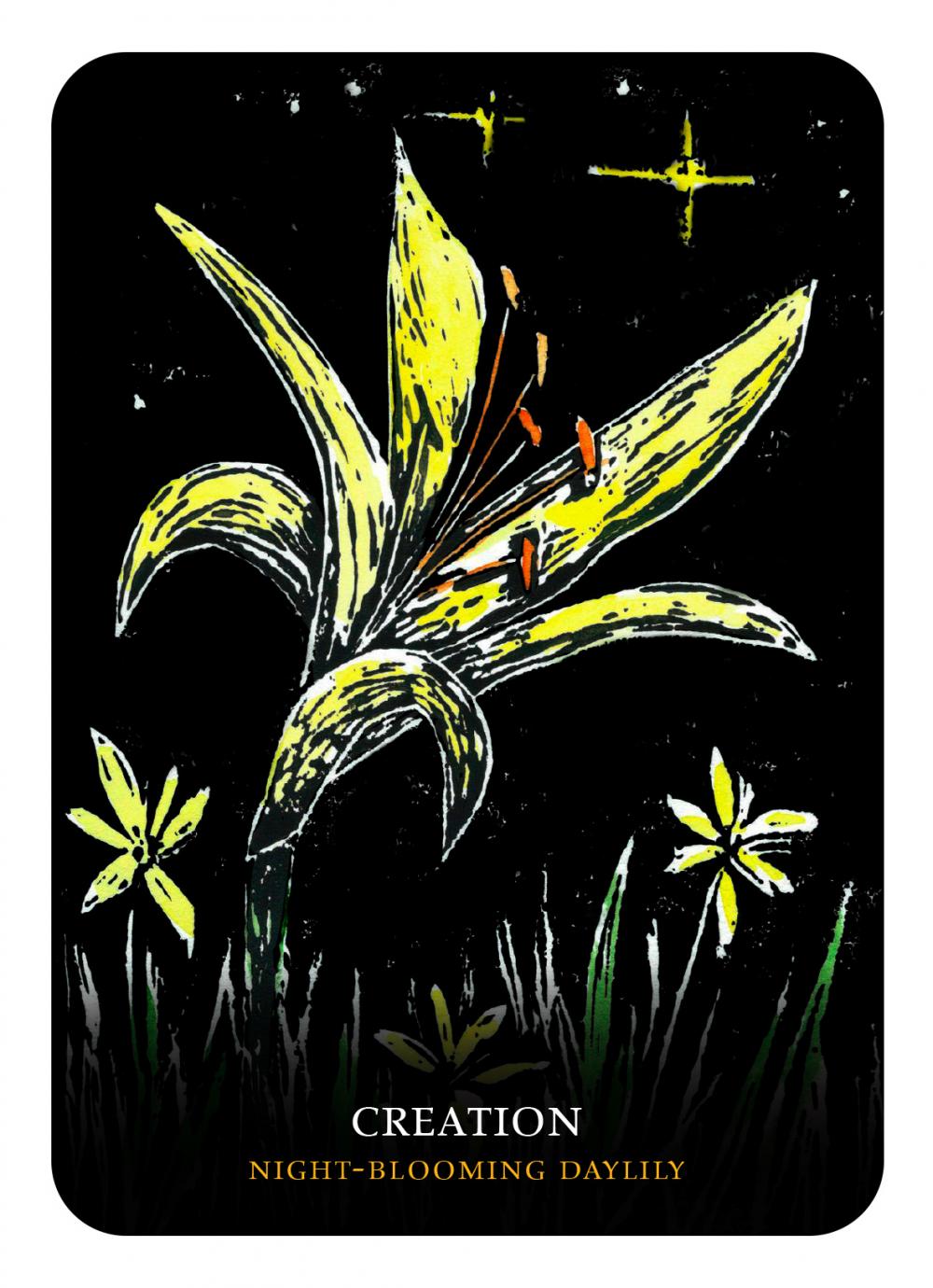 Flowers of the Night Oracle Cards